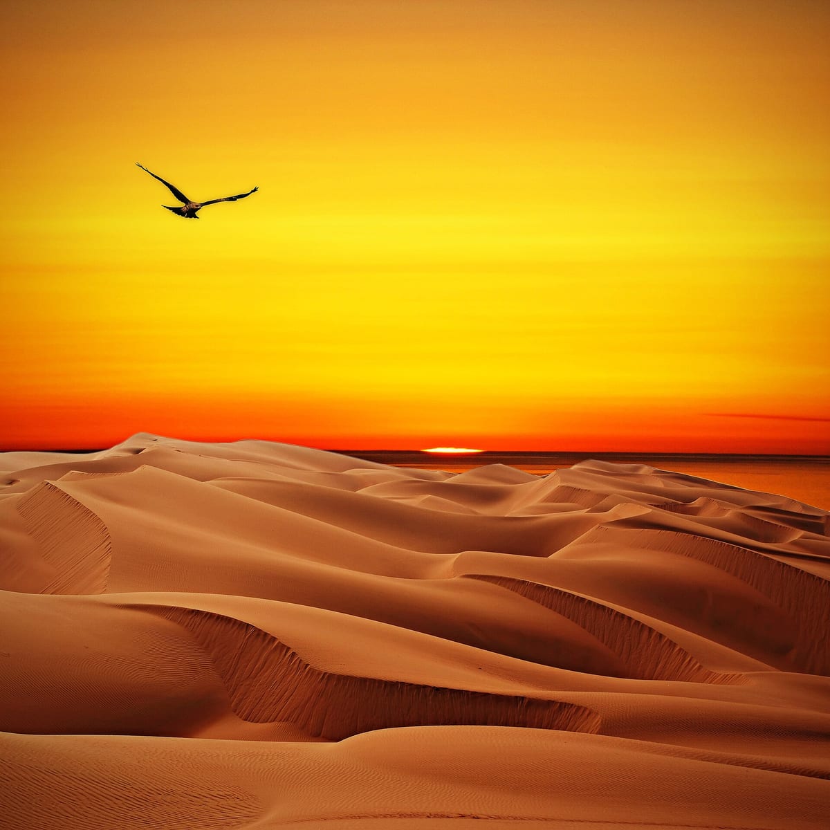 Seven desert experiences to book this winter